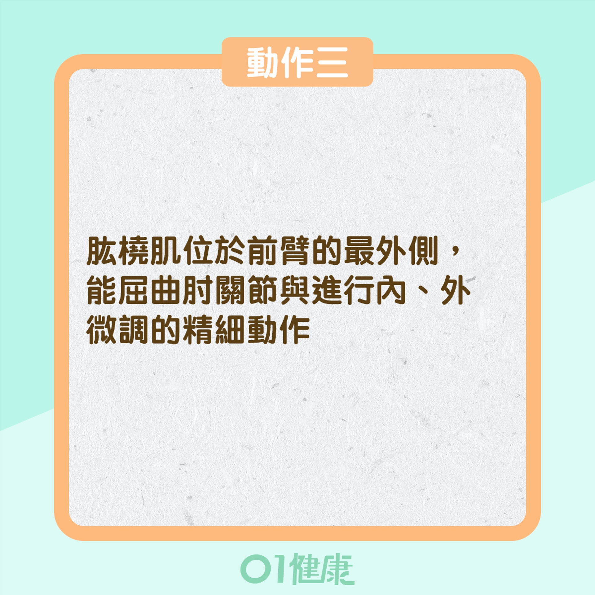 網球肘紓緩動作三(01製圖) 網球肘紓緩動作三(01製圖)