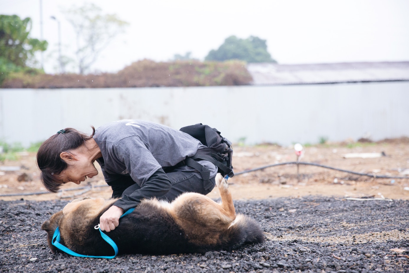 只要能令被遺棄毛孩再獲幸福,動物收容所都會一直堅持下去。(黃舒慧攝) 只要能令被遺棄毛孩再獲幸福,動物收容所都會一直堅持下去。(黃舒慧攝)