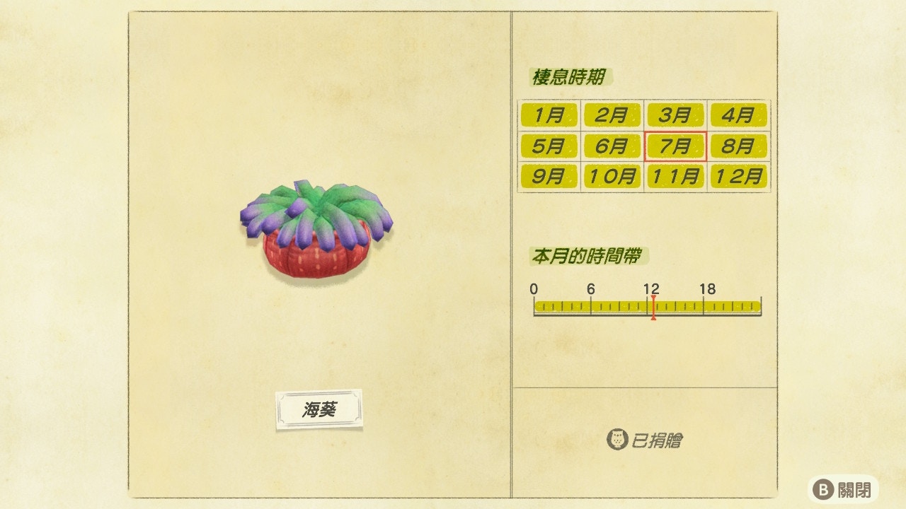 海葵/出現時間帶:全日(遊戲截圖) 海葵/出現時間帶:全日(遊戲截圖)