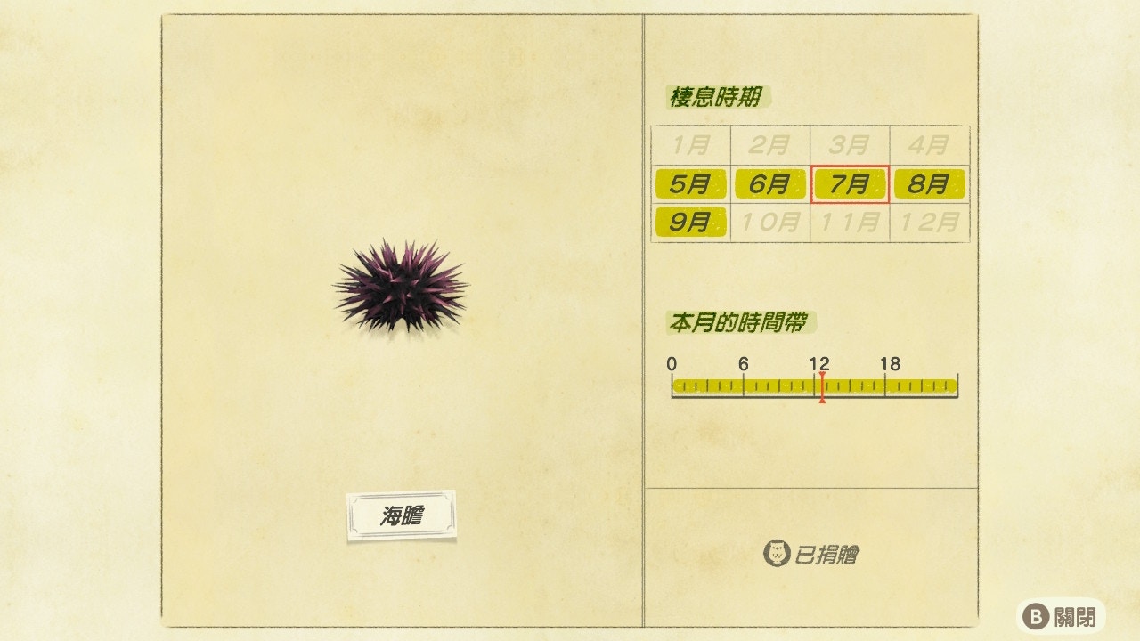 海膽/出現時間帶:全日(遊戲截圖) 海膽/出現時間帶:全日(遊戲截圖)
