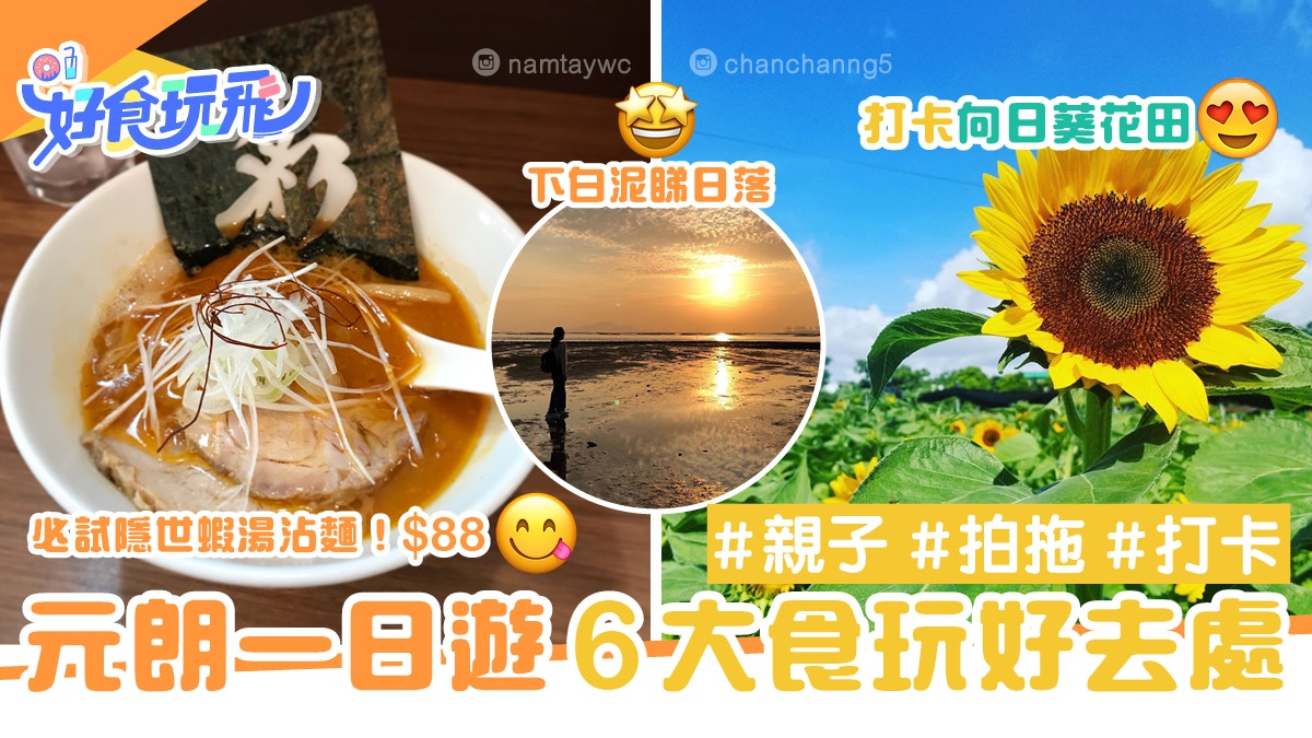 元朗一日遊6大推介向日葵花海打卡 必吃蝦湯沾麵 香港好去處