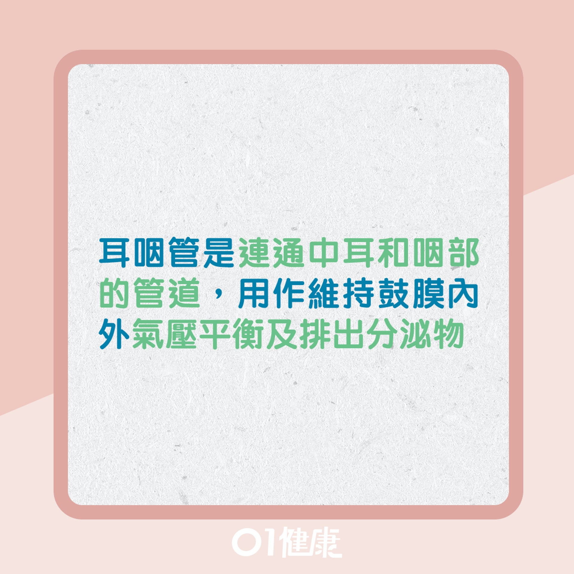 耳道堵塞的原因(01製圖) 耳道堵塞的原因(01製圖)