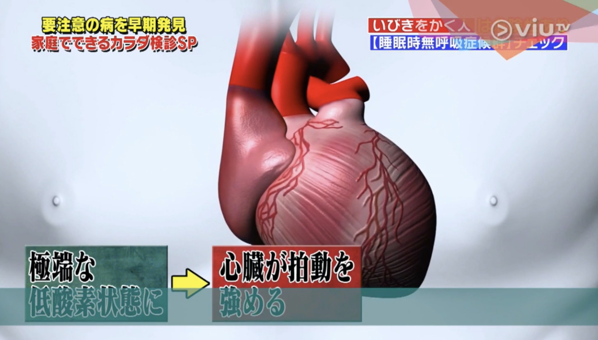 心臟為了盡量向身體輸送氧氣補充,就會加速跳動供血。(Viu TV《恐怖醫學》影片截圖) 心臟為了盡量向身體輸送氧氣補充,就會加速跳動供血。(Viu TV《恐怖醫學》影片截圖)