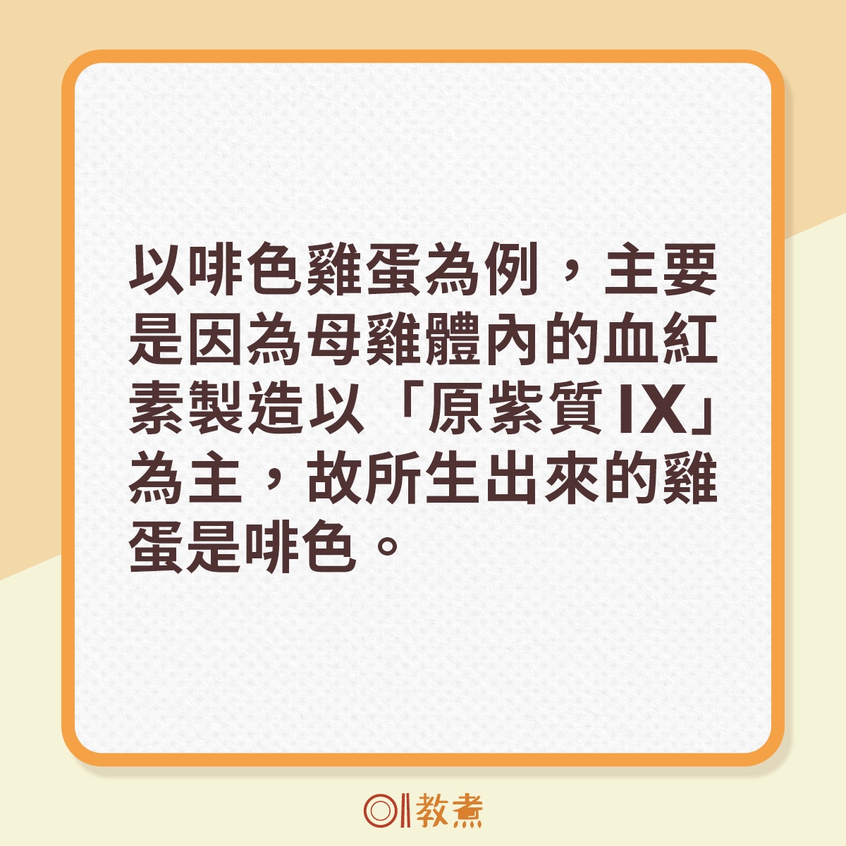 為什麼會有啡蛋和白蛋？（01製圖）