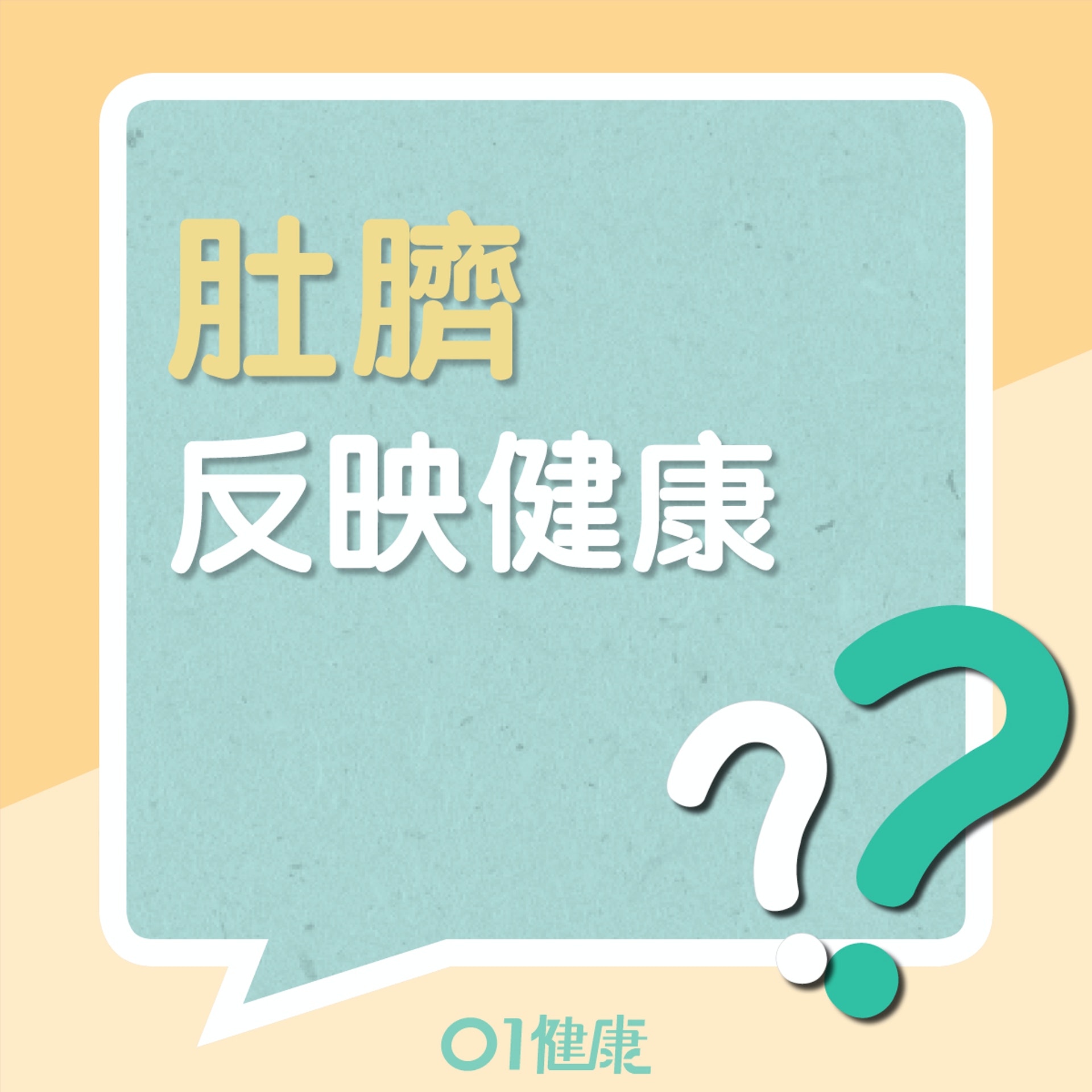 肚臍反映健康(01製圖) 肚臍反映健康(01製圖)