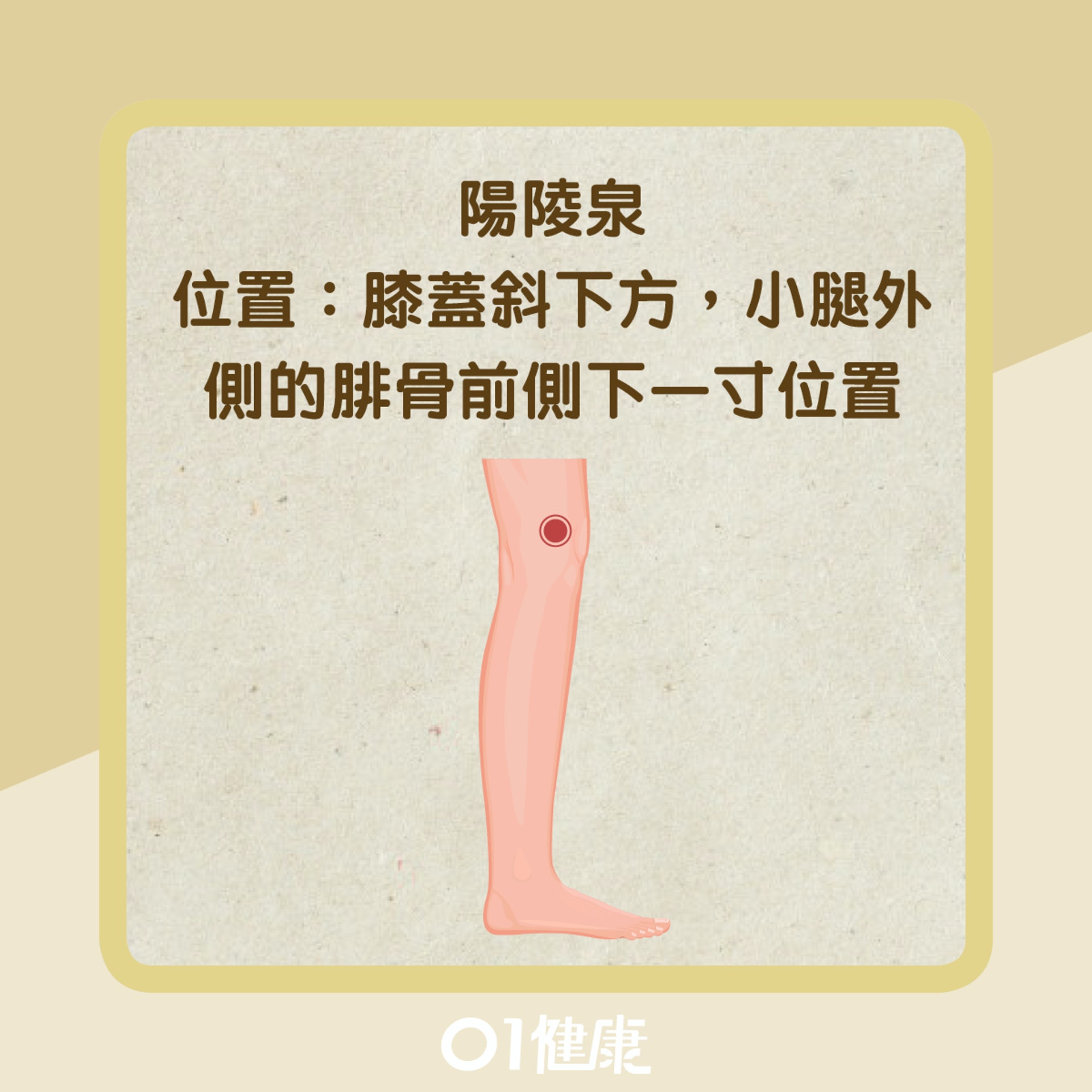 簡易清肝火方法(01製圖) 簡易清肝火方法(01製圖)