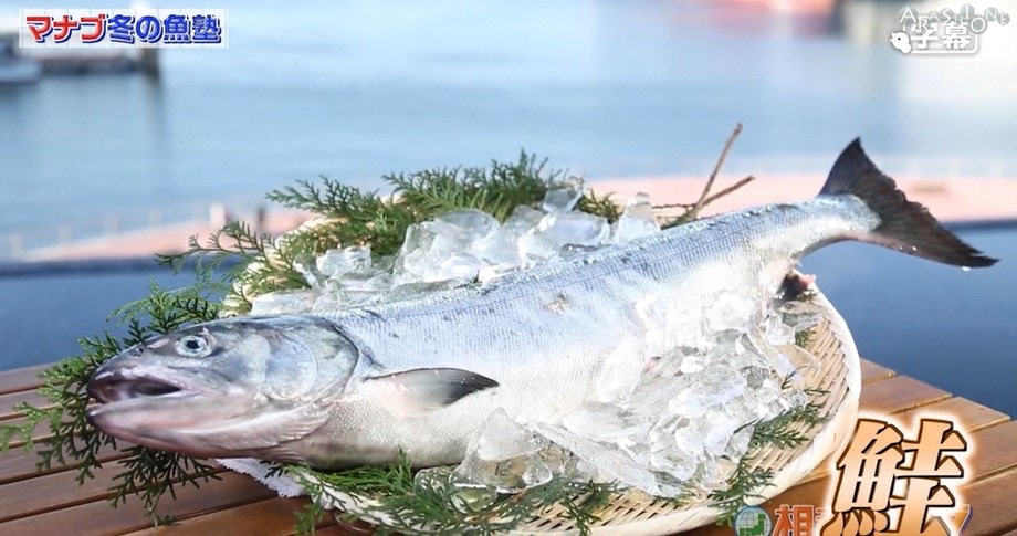 掌握鑒別美味三文魚的技巧。（《相葉學》影片截圖）