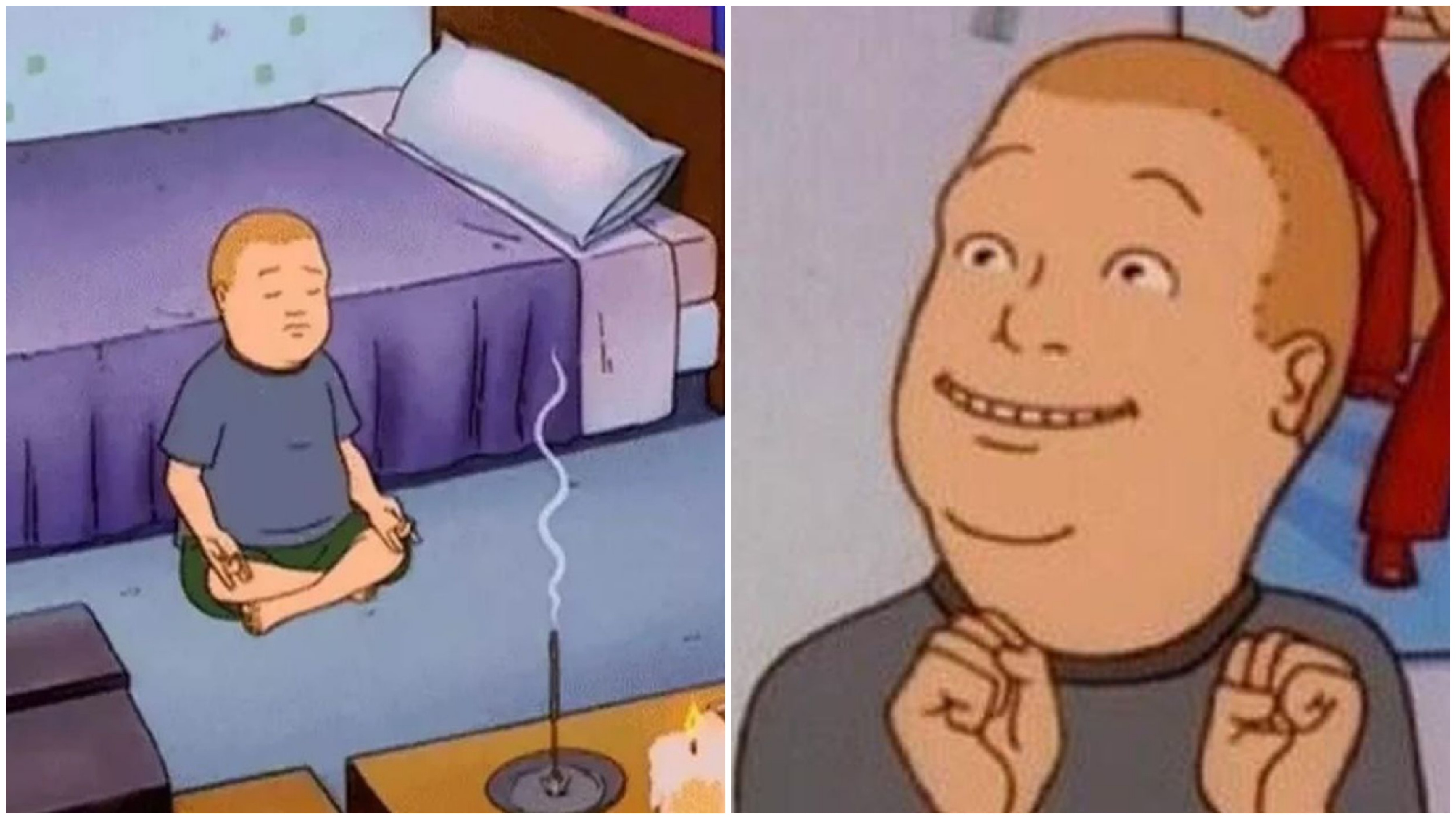 Bobby hill shop whatsapp sticker