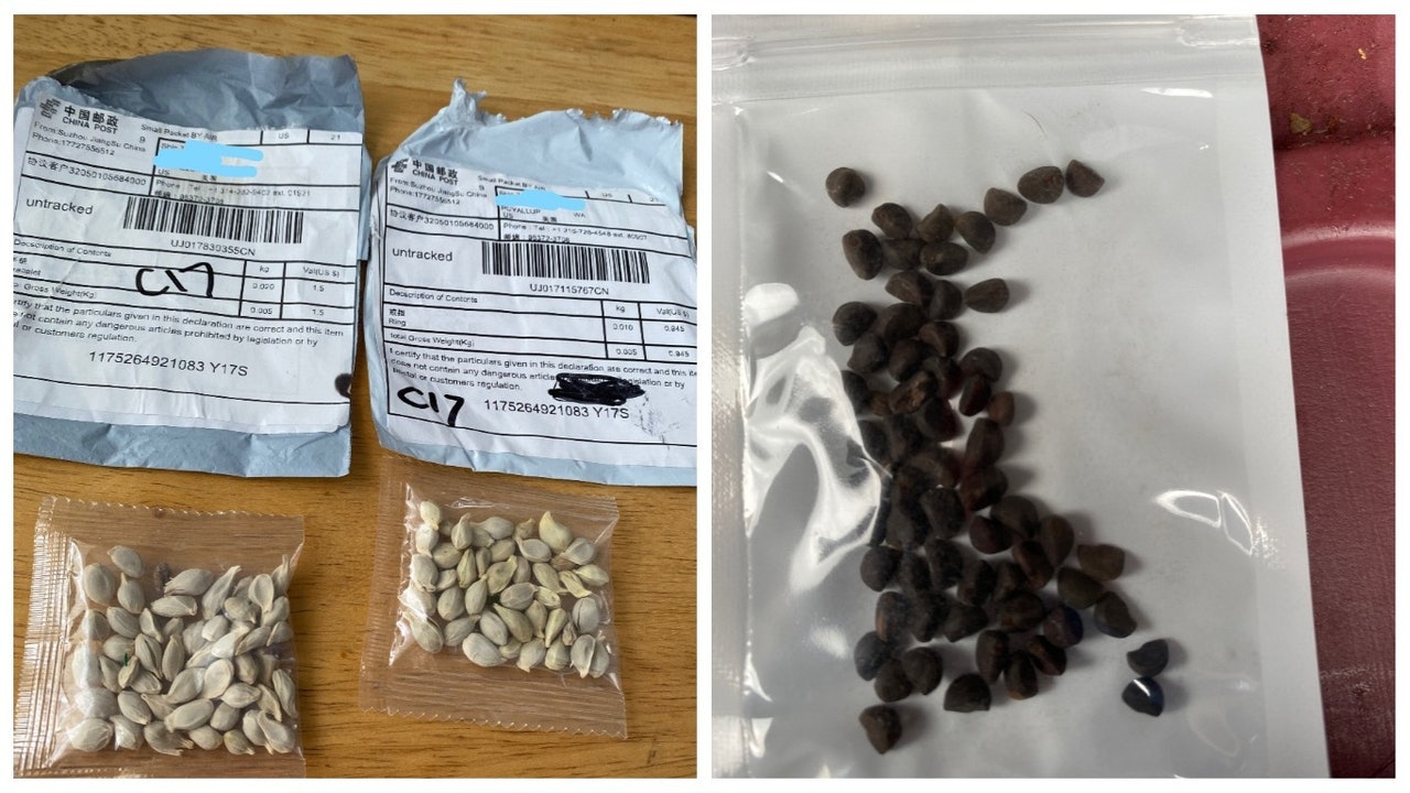 美國多州收到懷疑中國寄出種子 當局呼籲不要亂栽種 美國多州收到懷疑中國寄出種子 當局呼籲不要亂栽種