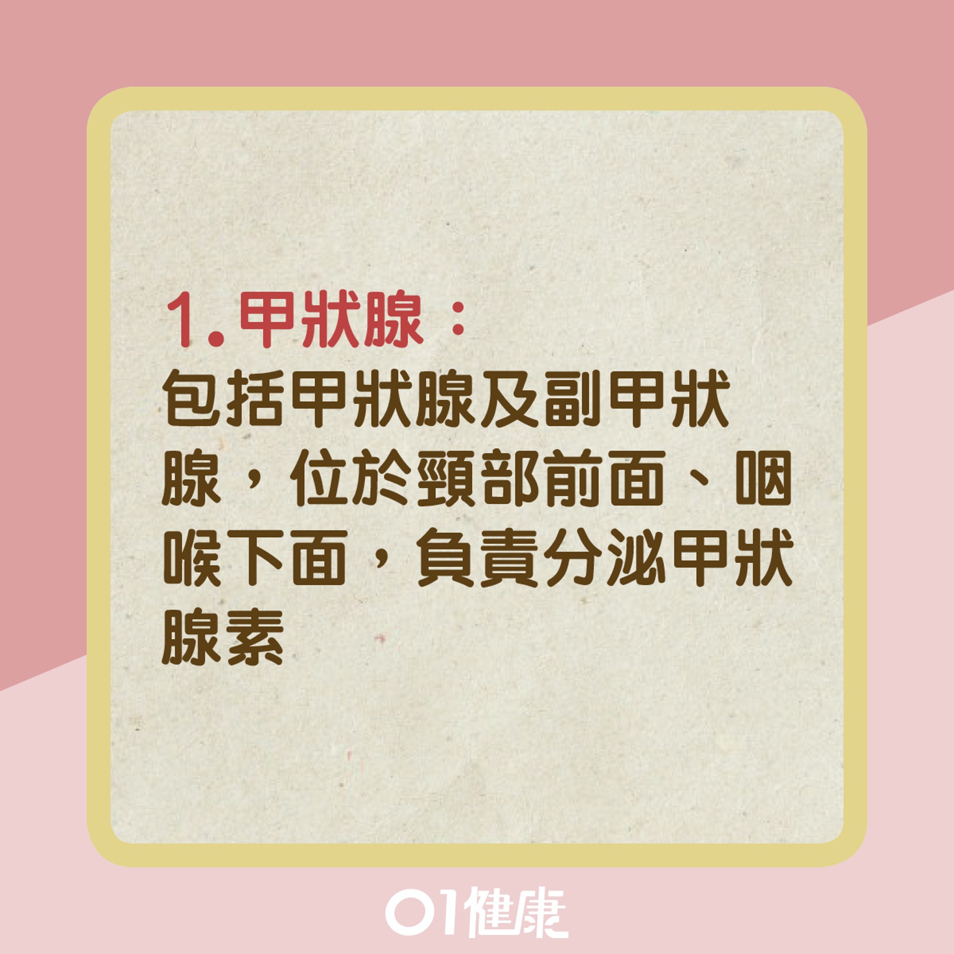 甲狀腺是什麼?(01製圖) 甲狀腺是什麼?(01製圖)