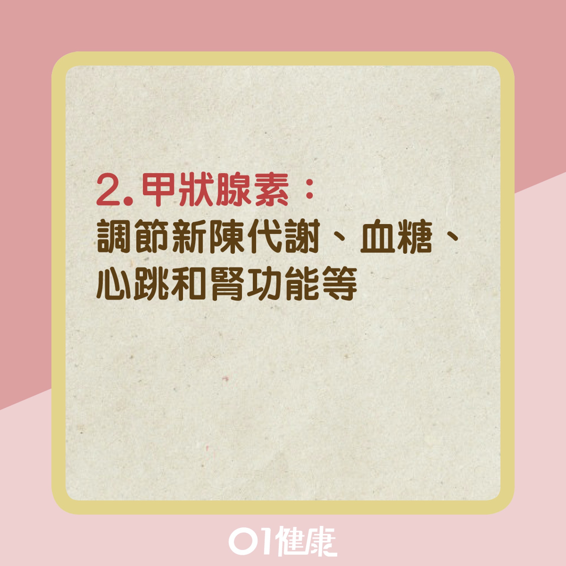甲狀腺是什麼?(01製圖) 甲狀腺是什麼?(01製圖)