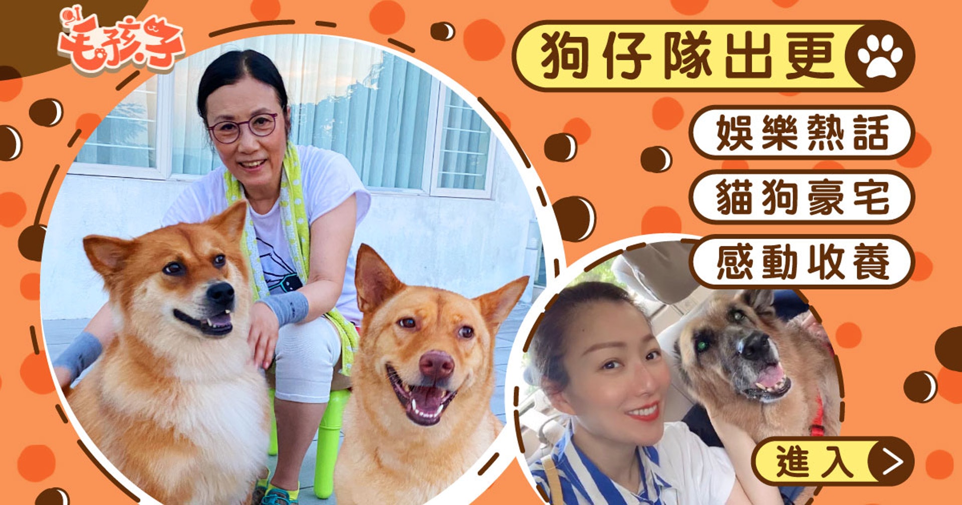 汪明荃 張衛健 鄭秀文等藝人寵物故事盡覽揭星級寵物神秘面紗 汪明荃 張衛健 鄭秀文等藝人寵物故事盡覽揭星級寵物神秘面紗