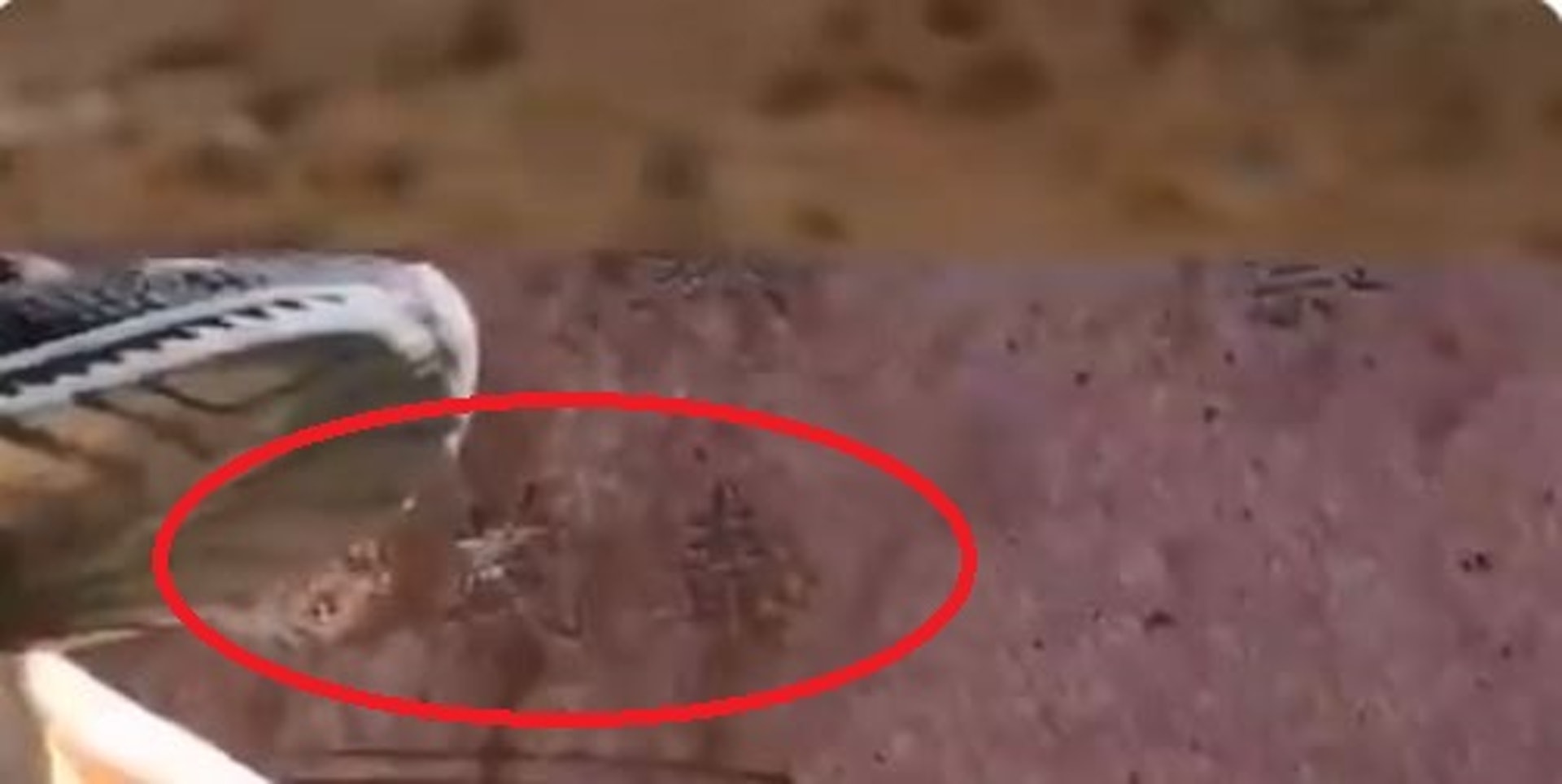 重慶永川中學把余茂春從高考狀元石碑鑿除。(微博) 重慶永川中學把余茂春從高考狀元石碑鑿除。(微博)