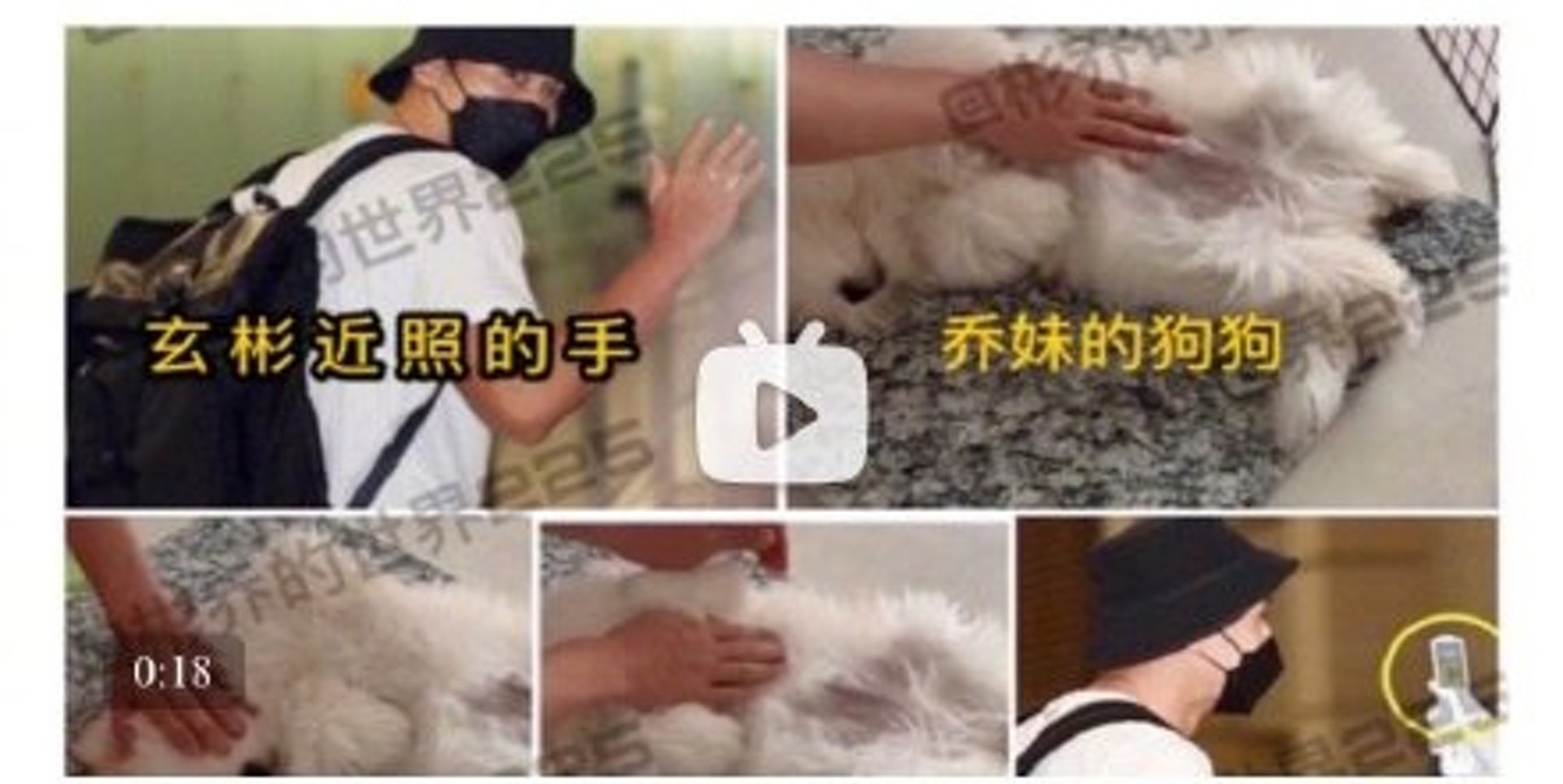 網友表示玄彬的手曾出現在宋慧喬好友的影片中。(微博/@南都娛樂周刊)