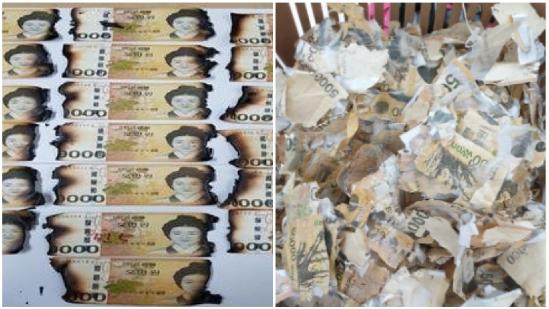 韓國提醒民眾勿為防疫亂清洗銀紙有人把2200萬韓圜鈔票放洗衣機