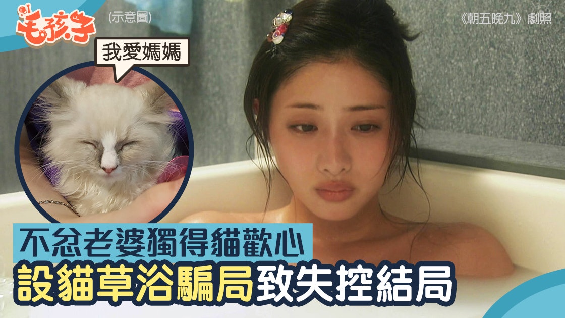 布偶貓獨霸老婆 港男超呷醋 爆笑「復仇」結局超失控 布偶貓獨霸老婆 港男超呷醋 爆笑「復仇」結局超失控