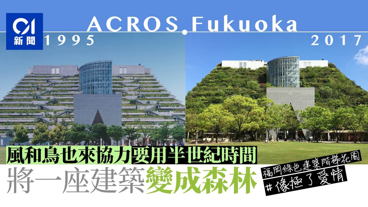 福岡綠色建築未來可長成森林？　綠樹覆蓋階級式設計完美融入自然