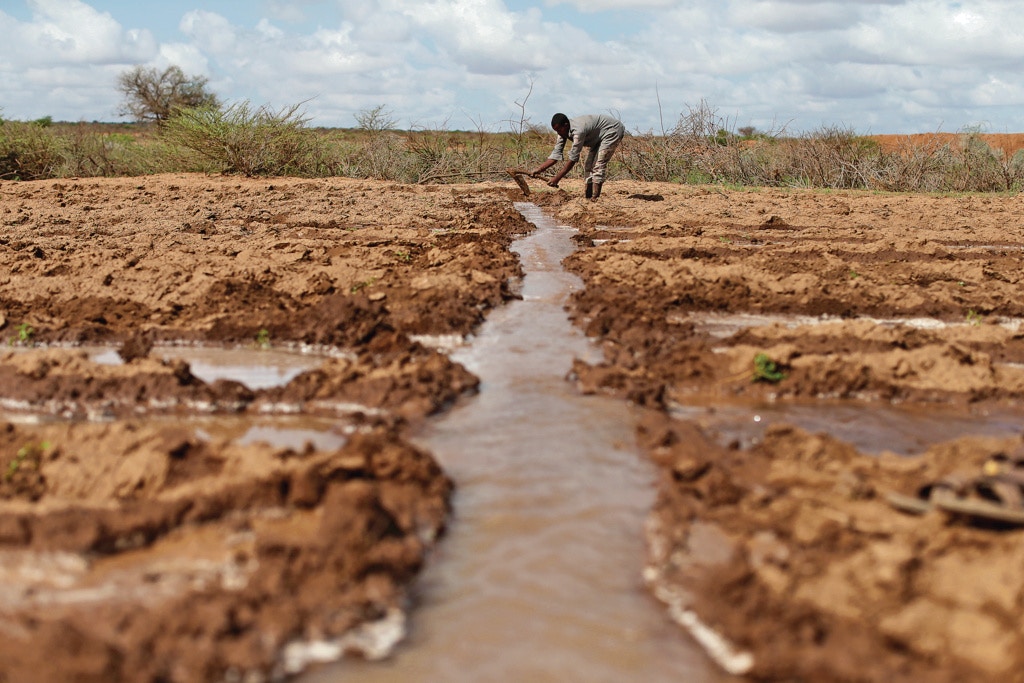 氣候暖化引致的乾旱禍及東非農民。（路透社）