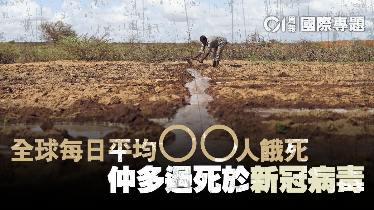 諾貝爾和平獎 疫情 天災 蝗禍全球糧食危機降臨 諾貝爾和平獎 疫情 天災 蝗禍全球糧食危機降臨