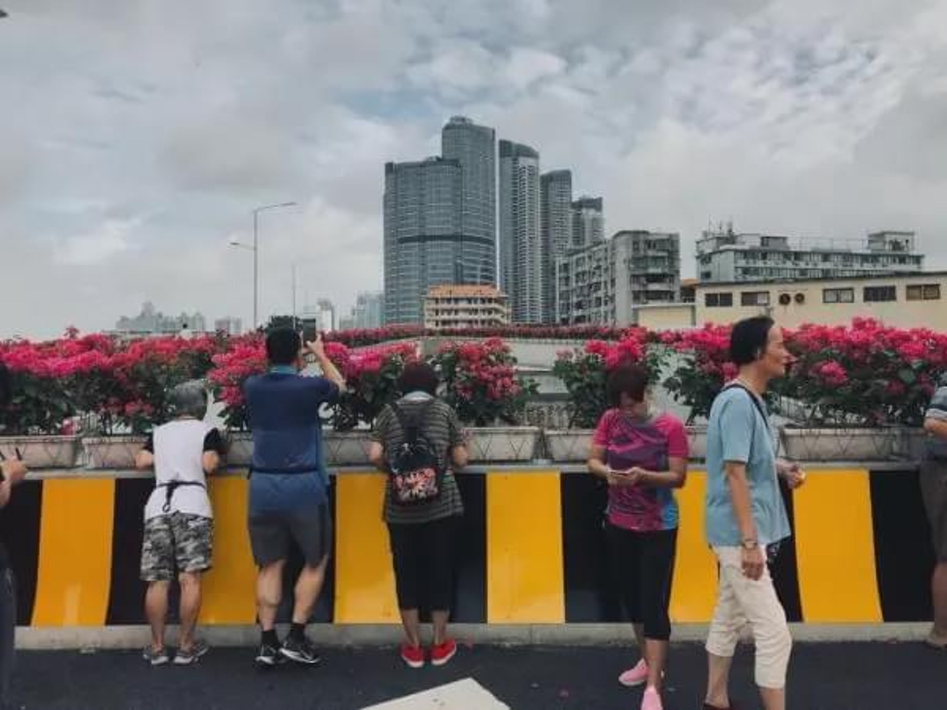 市民專程前來圍觀「海珠之眼」。(網上圖片) 市民專程前來圍觀「海珠之眼」。(網上圖片)