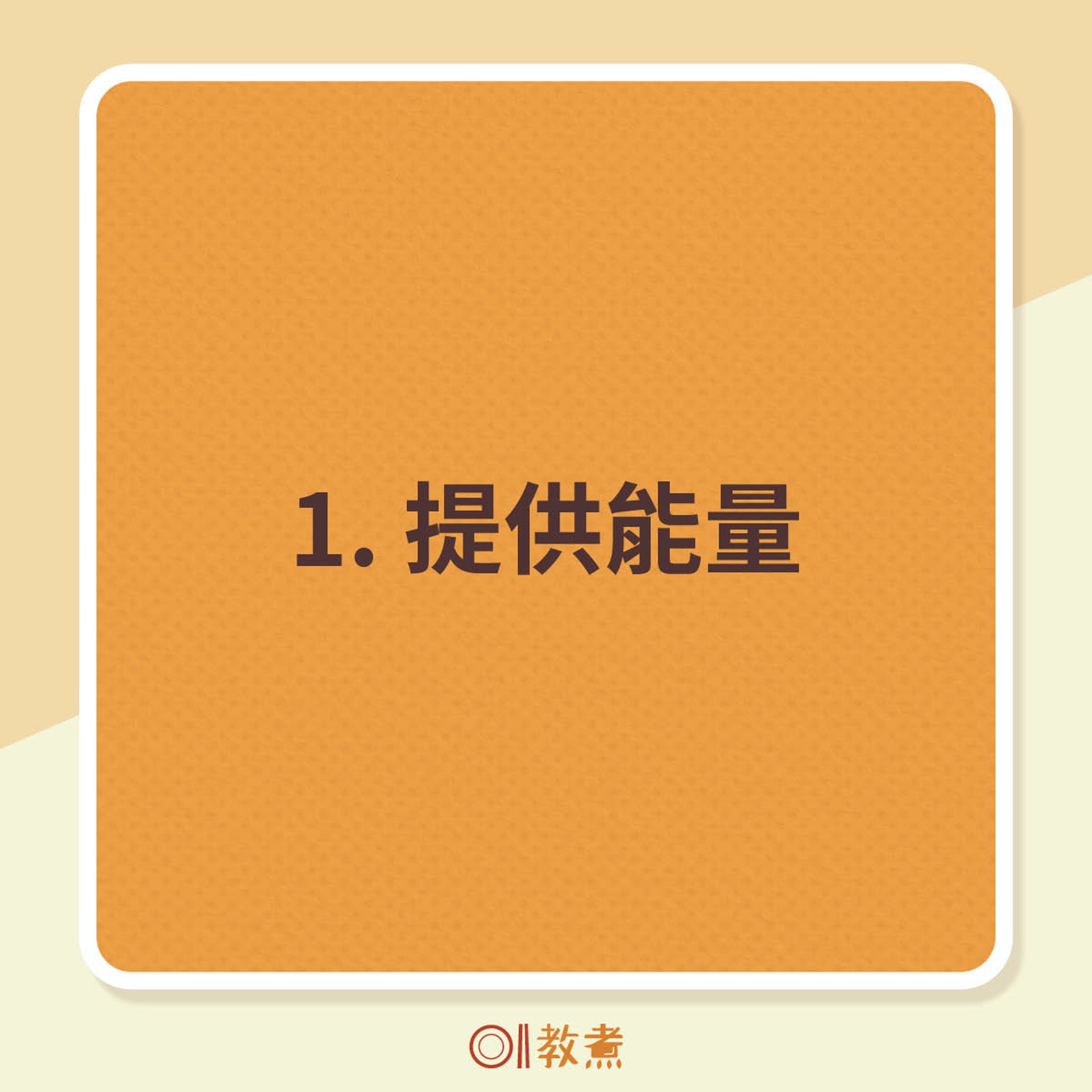 脂肪6大功效(01製圖) 脂肪6大功效(01製圖)