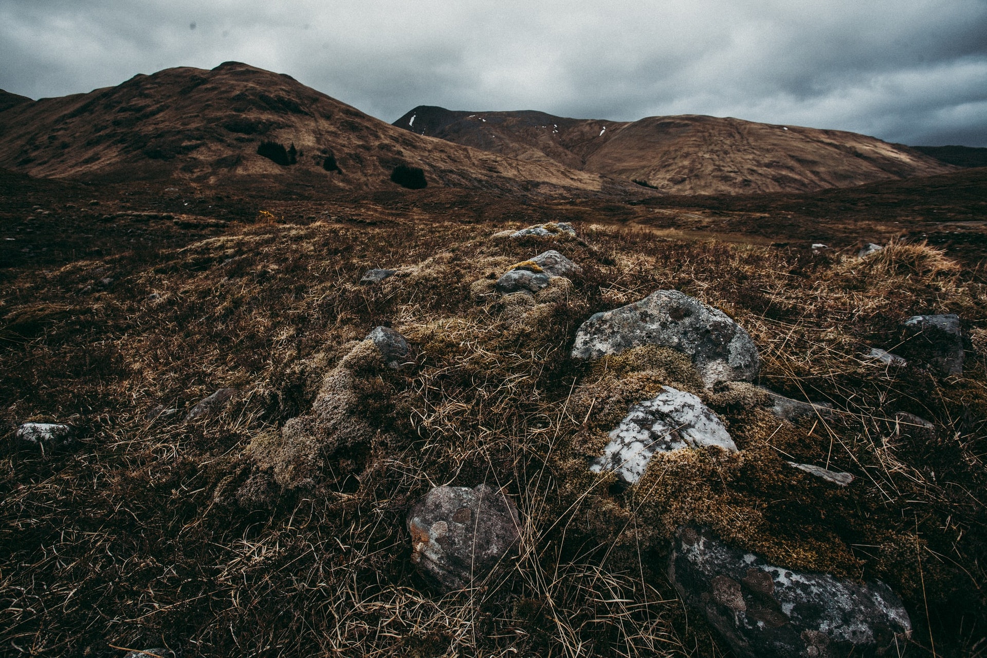 (圖片來源:Unsplash@ottink) (圖片來源:Unsplash@ottink)