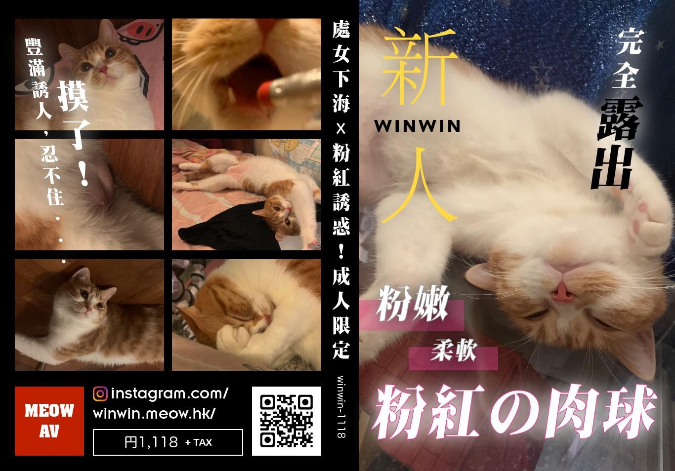 猫av - mutagraphy.net