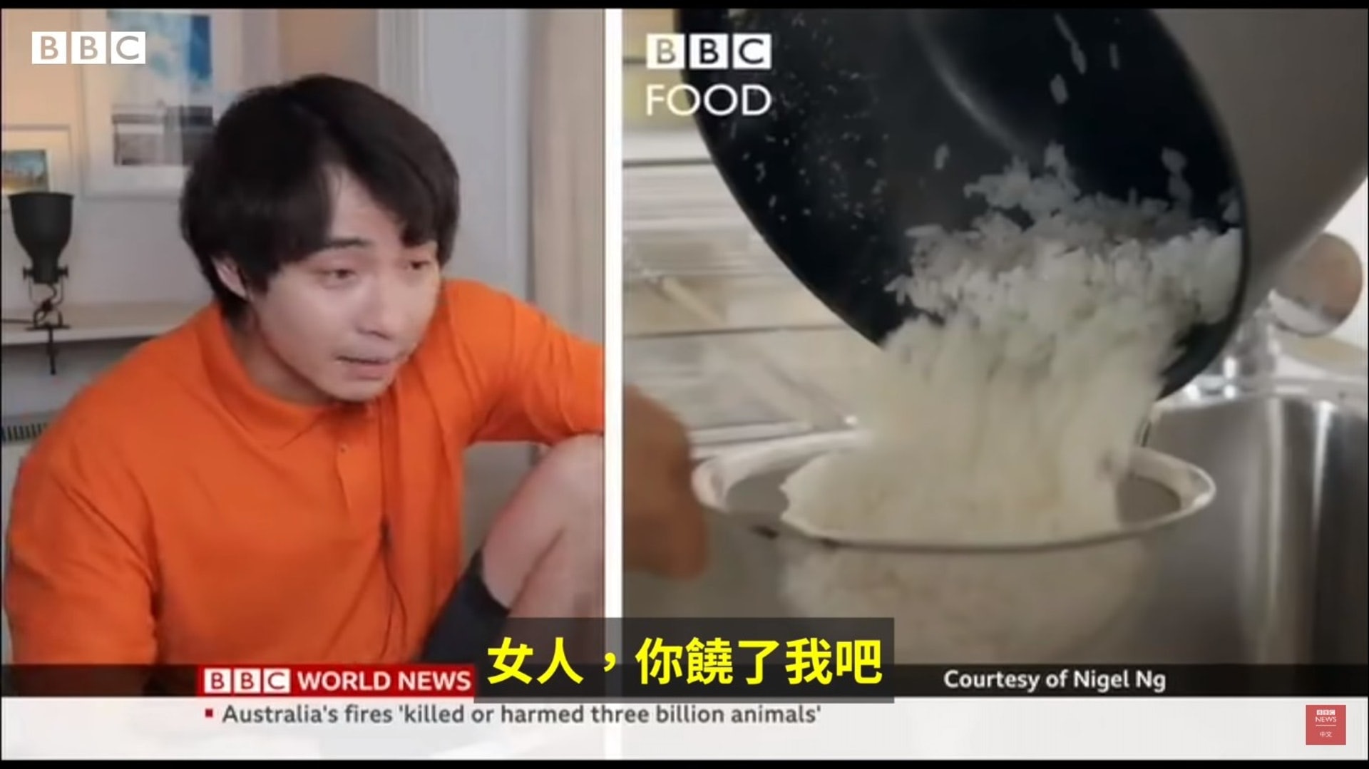 Uncle Roger早前拍片評論Hersha的蛋炒飯步驟錯漏百出，引起華人廣泛討論。（影片截圖）