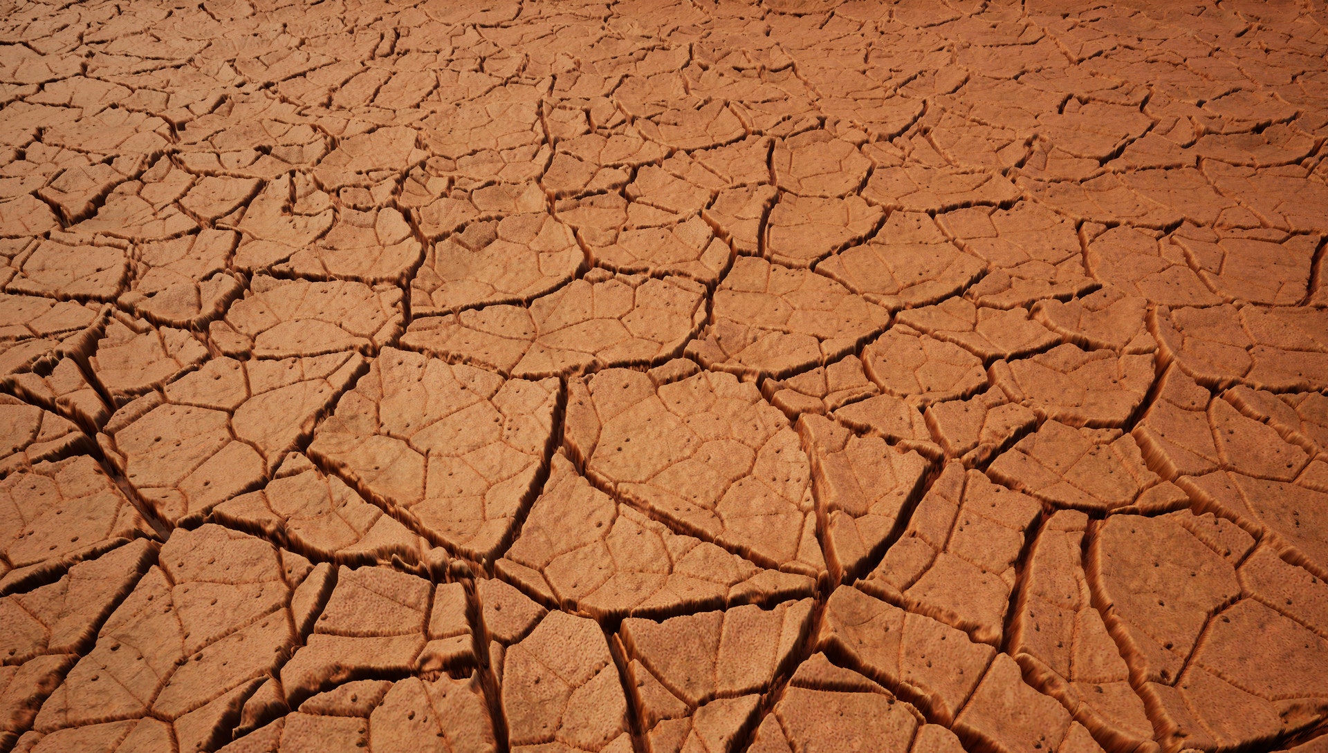 地球上的動植物和自然環境中,都有大量Voronoi Diagram的例子。(網上圖片) 地球上的動植物和自然環境中,都有大量Voronoi Diagram的例子。(網上圖片)