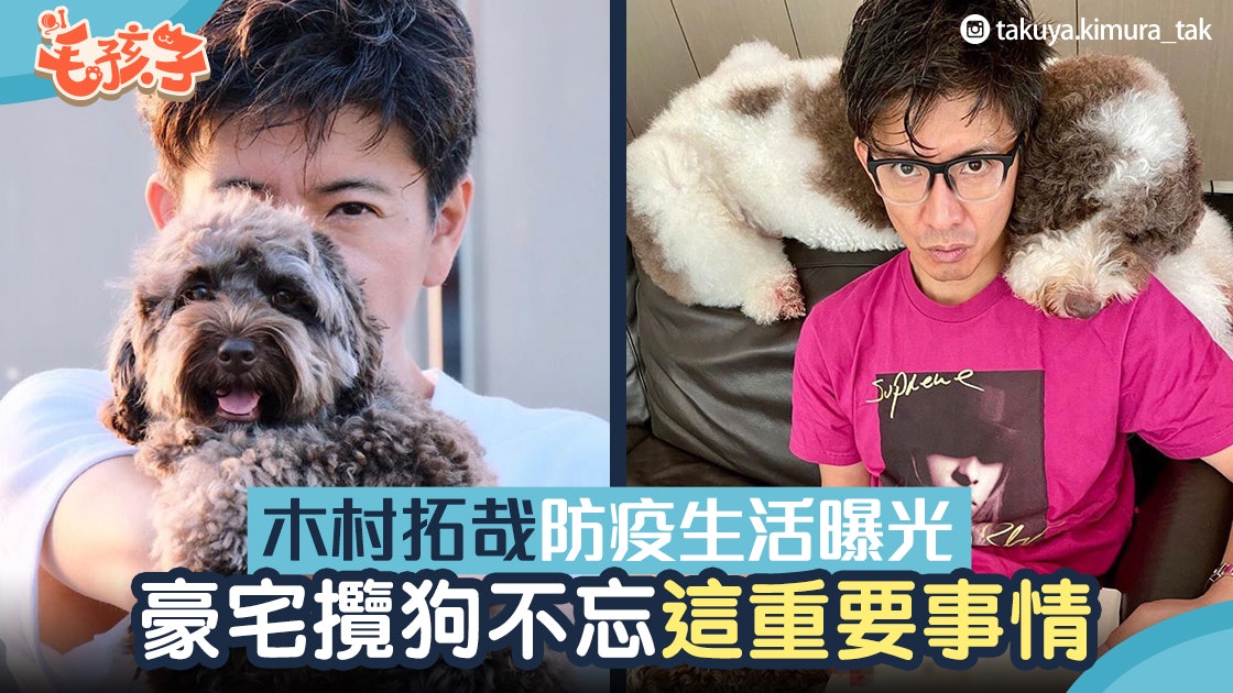 木村拓哉留豪宅睇劇本 陪貴婦狗、英國古代牧羊犬 抗疫生活曝光 木村拓哉留豪宅睇劇本 陪貴婦狗、英國古代牧羊犬 抗疫生活曝光