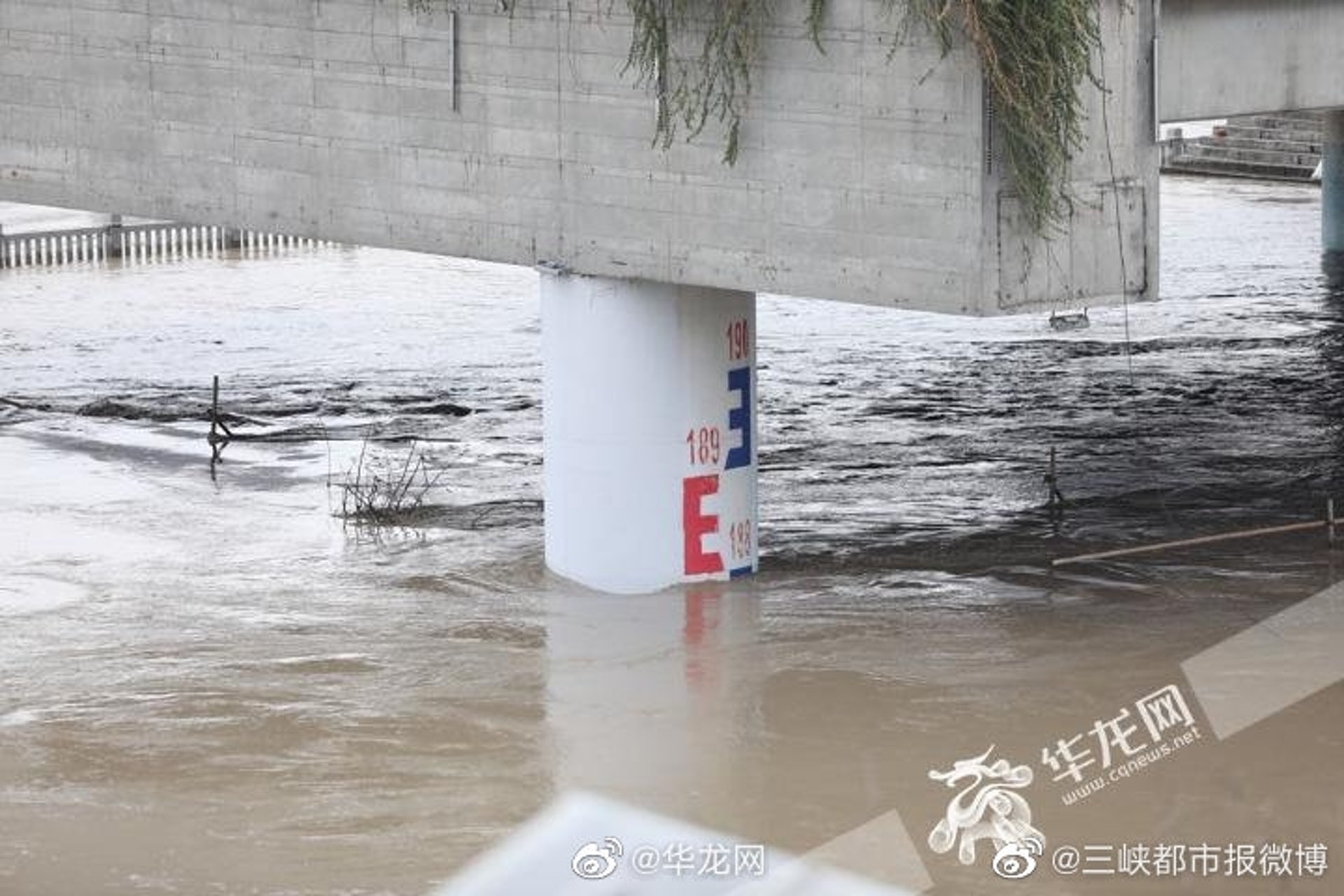 重慶嘉陵江磁器口的水位已達188米。(微博) 重慶嘉陵江磁器口的水位已達188米。(微博)
