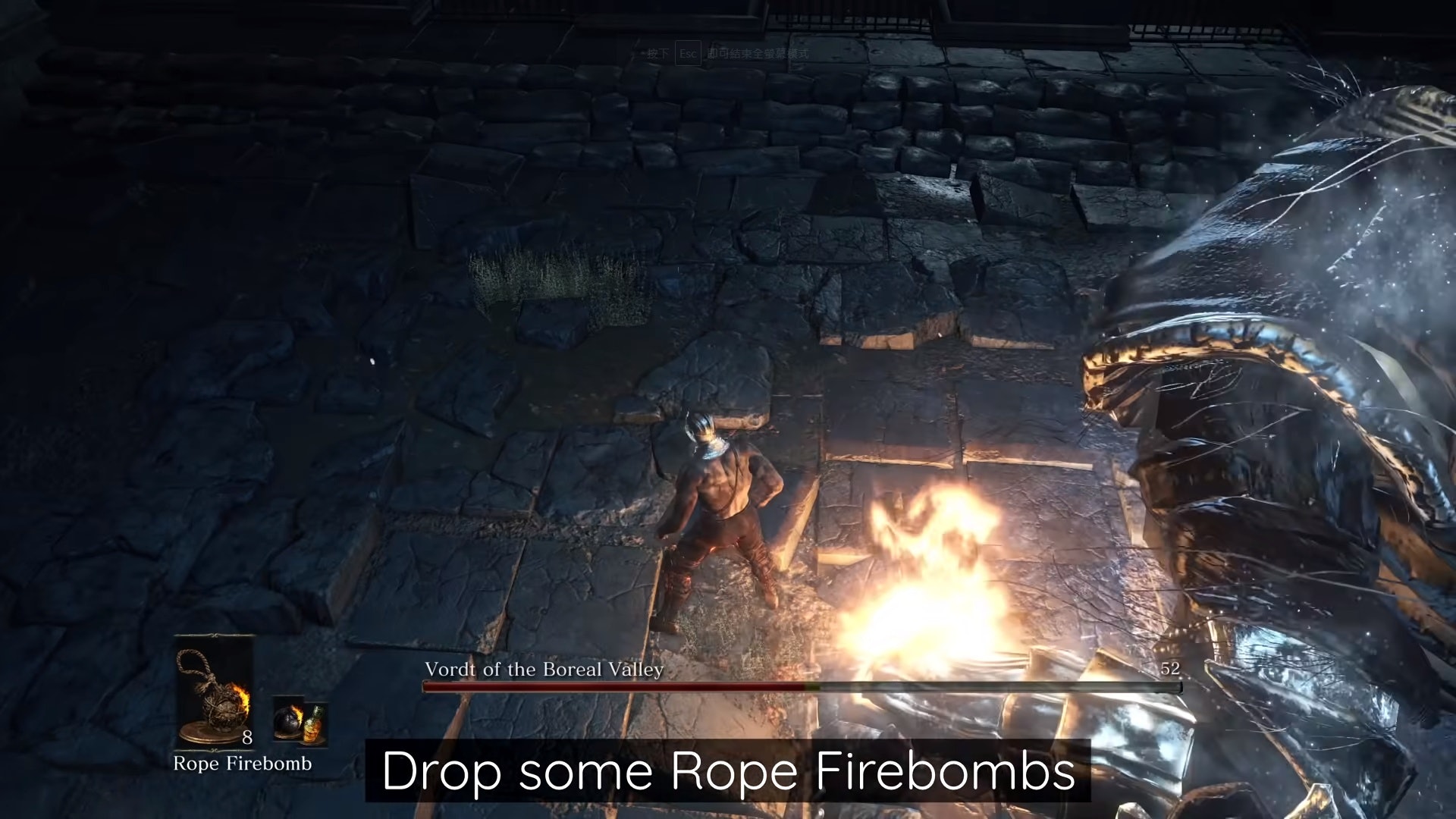 外國神人花式通關dark Souls Bloodborne 唔攻擊都爆到機