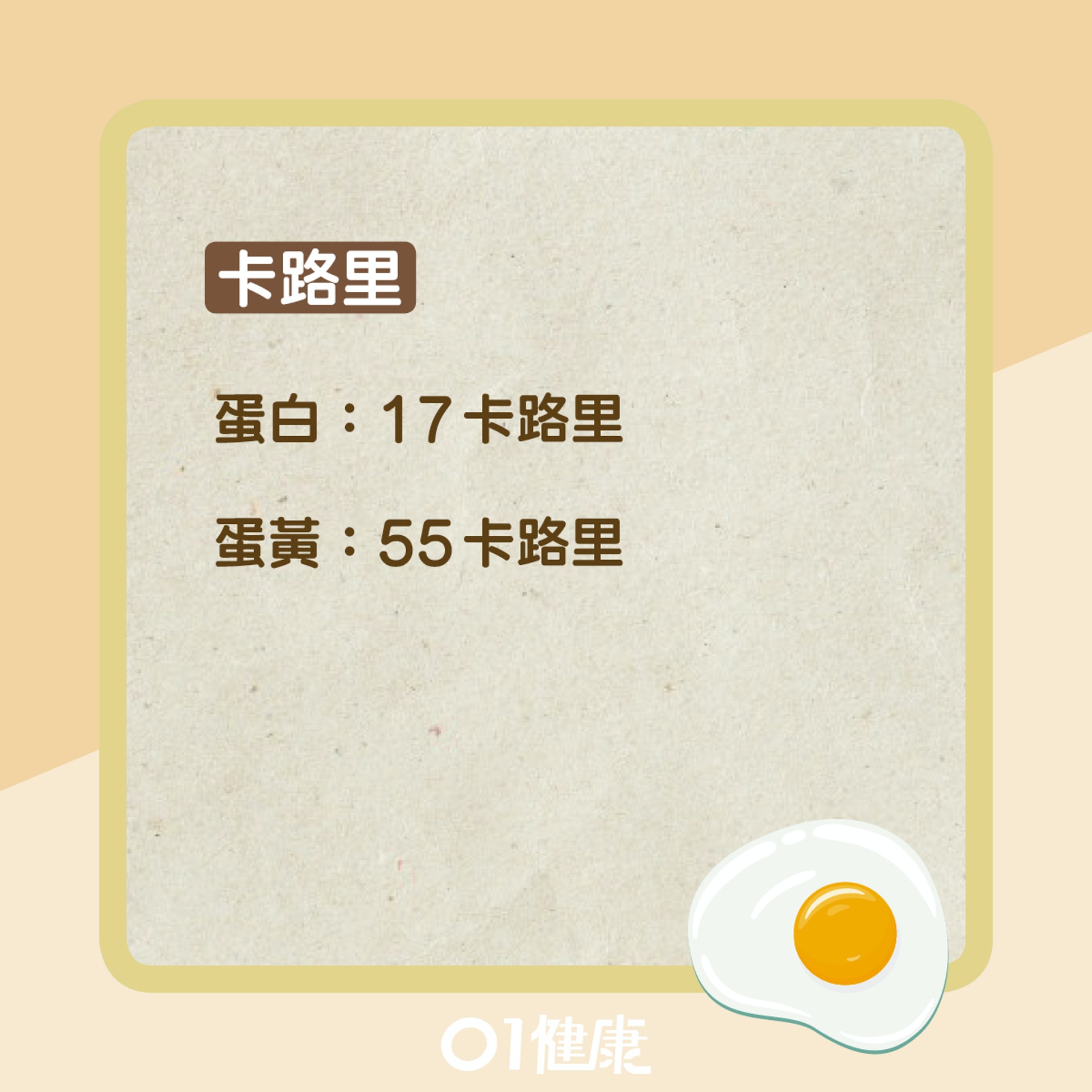 蛋白蛋黃營養大比拚(01製圖) 蛋白蛋黃營養大比拚(01製圖)