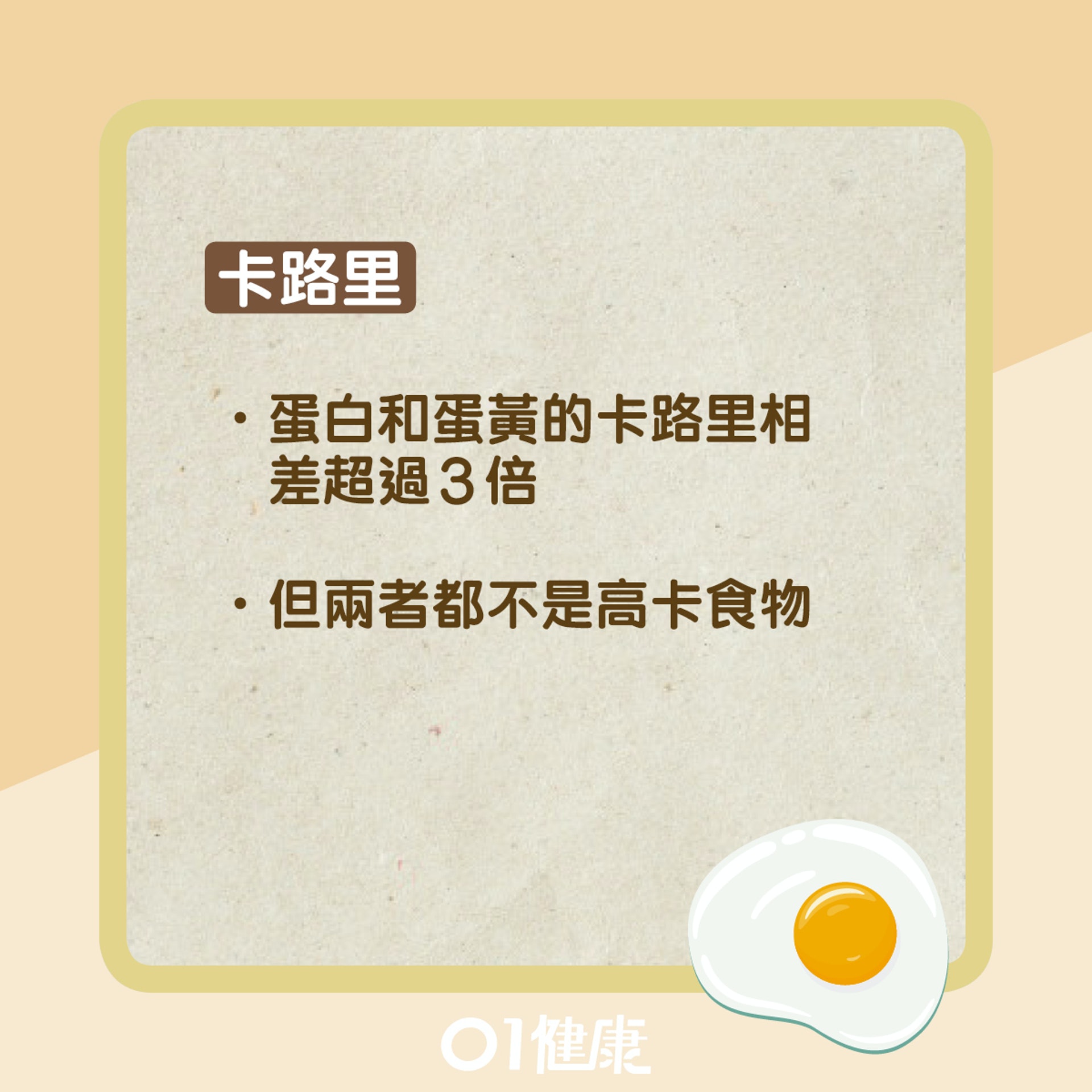 蛋白蛋黃營養大比拚(01製圖) 蛋白蛋黃營養大比拚(01製圖)