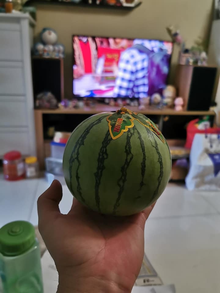 假西瓜疑雲 街市 10迷你西瓜口感如一塊塊紙巾專家咁解釋 香港01 熱爆話題