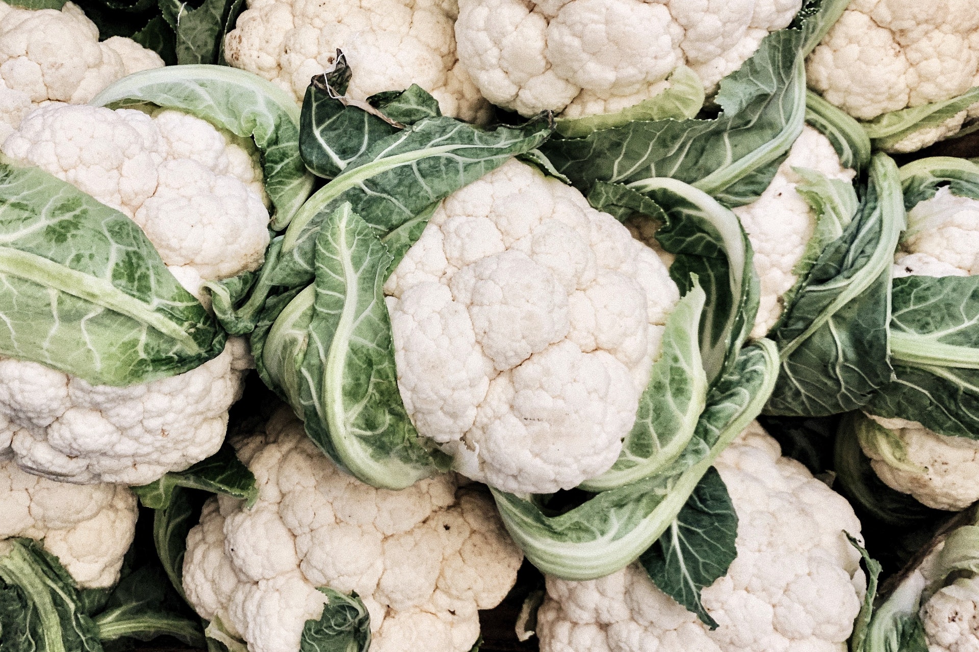 椰菜花營養 減肥降三高10大好處紫橙綠色各具功效邊種甜啲 椰菜花營養 減肥降三高10大好處紫橙綠色各具功效邊種甜啲