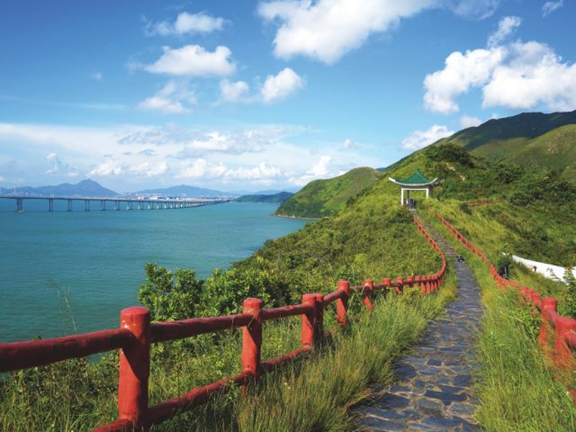 虎年行山 香港 虎 山大集合老虎頭景色最正有座1個鐘行完 虎年行山 香港 虎 山大集合老虎頭景色最正有座1個鐘行完
