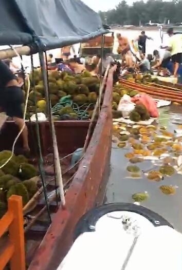 裝滿榴槤的走私貨船翻側，一時之間海面漂浮大量榴槤。（影片截圖）