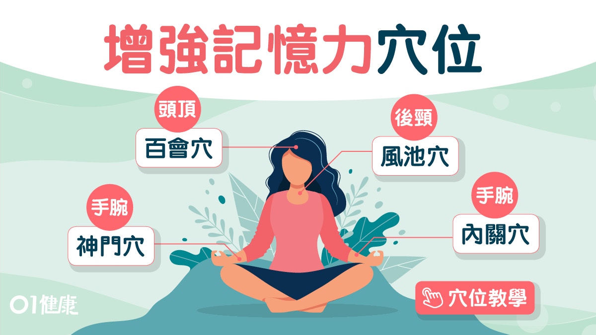 【增記憶穴位】冇記性易腦退化？增記憶5穴位飲栗子腰果紅蘿蔔湯