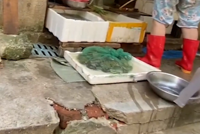 近日武漢的街市有商販出售野生田雞。（影片截圖）