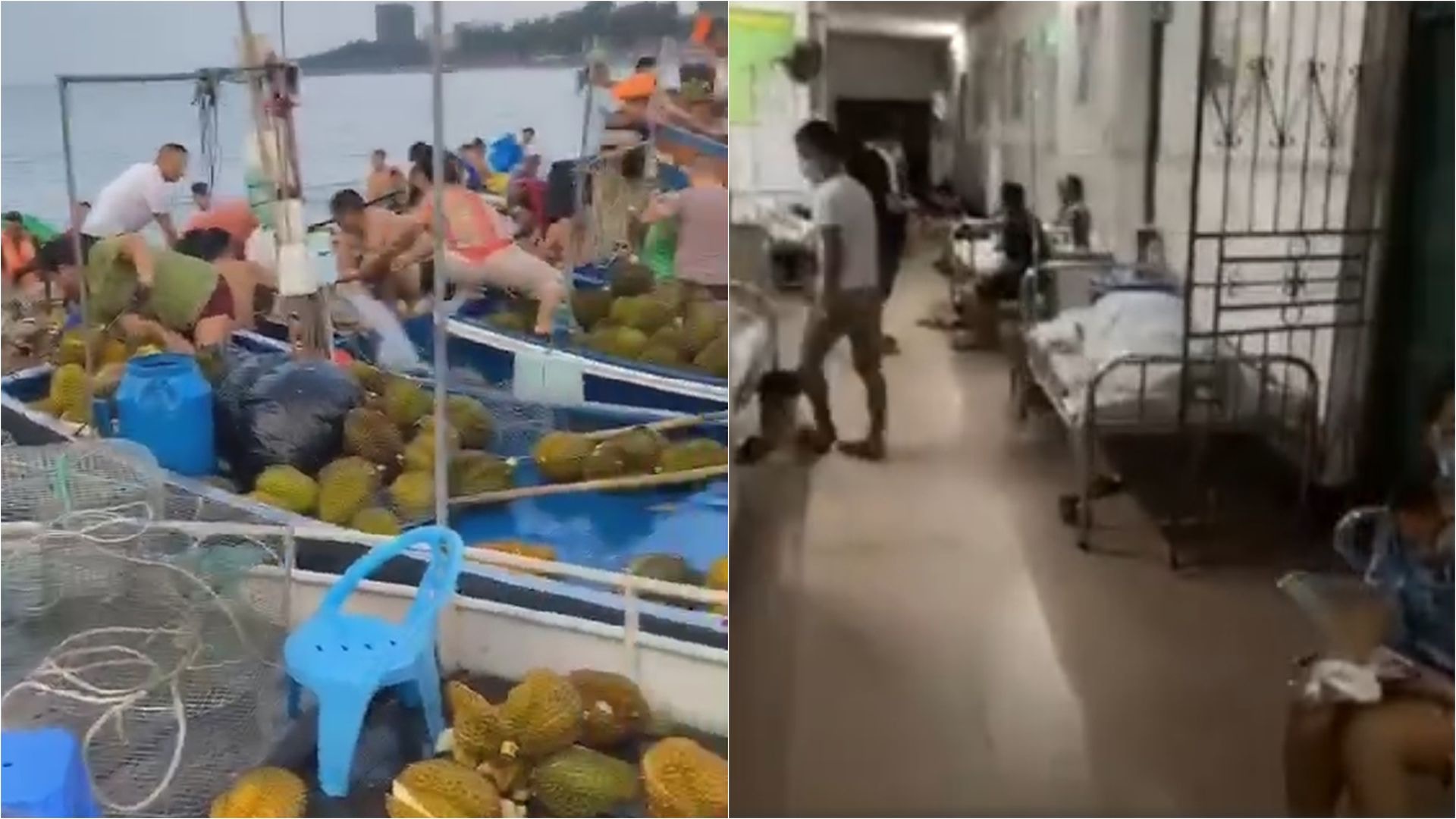 廣西走私船翻側村民搶榴槤逾500人食物中毒　證感染副溶血性弧菌