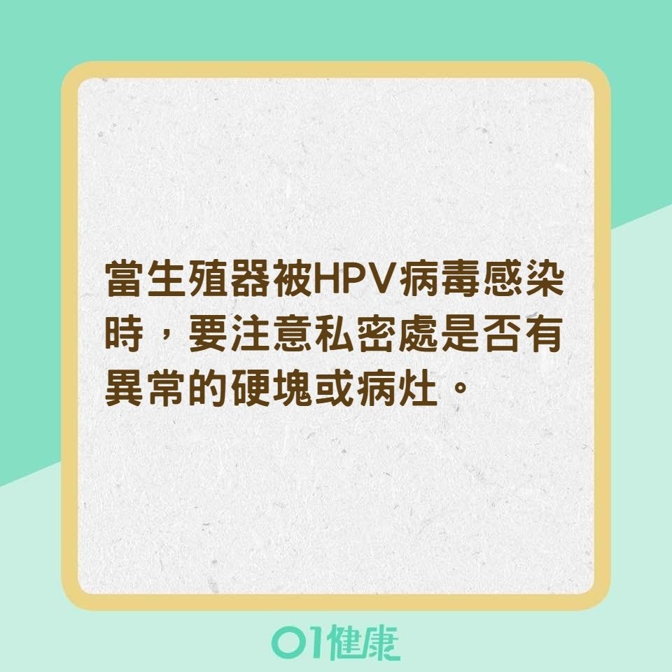 HPV病毒3大真相（01製圖）