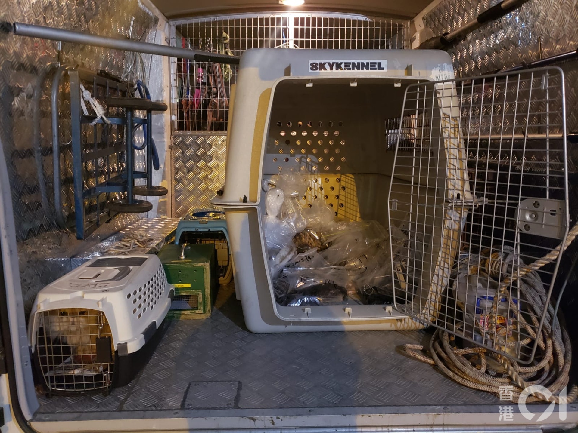 深井豪景花園在今年2月14日情人節當日發生虐畜案,30隻寵物被人殘酷掟落街,導致18死12傷,愛協帶走動物屍體作調查。 深井豪景花園在今年2月14日情人節當日發生虐畜案,30隻寵物被人殘酷掟落街,導致18死12傷,愛協帶走動物屍體作調查。