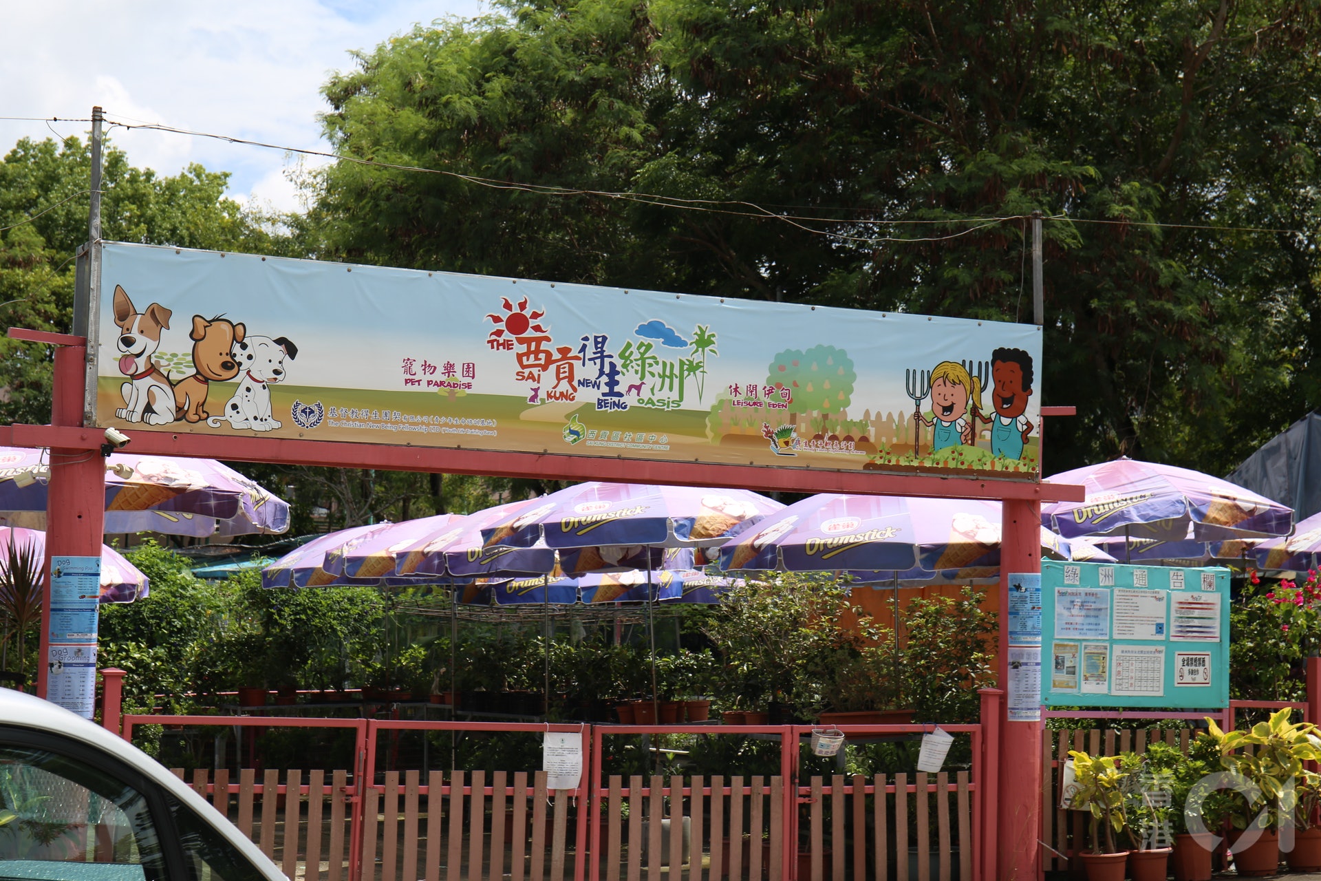 在西貢區社區中心旁的得生綠洲。(鄧詠中攝) 在西貢區社區中心旁的得生綠洲。(鄧詠中攝)