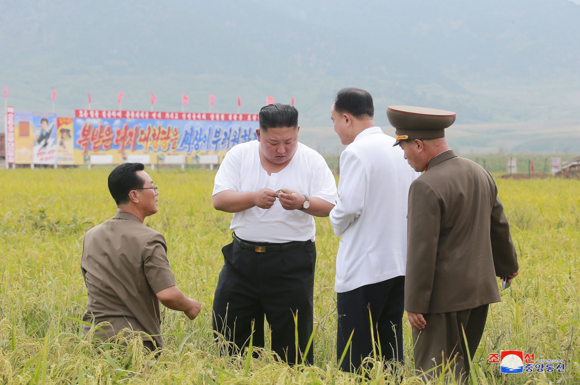 視察受到洪水影響的稻田期間,金正恩與隨行人員就農作物生長情況進行交流。(Reuters) 視察受到洪水影響的稻田期間,金正恩與隨行人員就農作物生長情況進行交流。(Reuters)