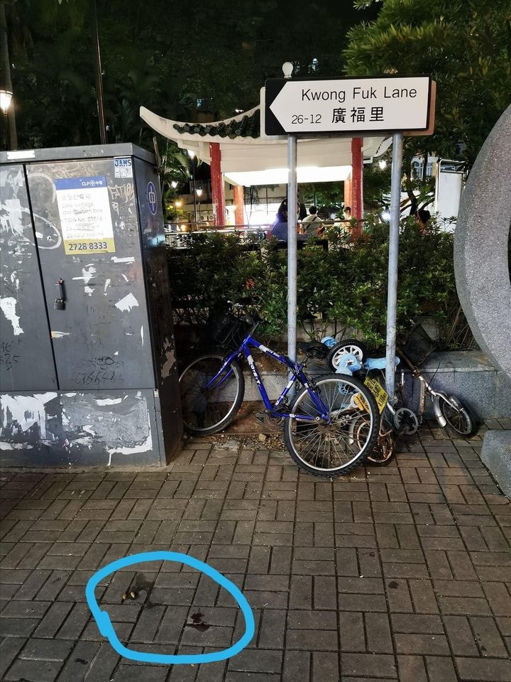 由於貓咪倒卧的位置與附近大廈距離甚遠,樓主及一眾街坊均認為貓咪並非因失足墮樓。(黃兆健fb圖片) 由於貓咪倒卧的位置與附近大廈距離甚遠,樓主及一眾街坊均認為貓咪並非因失足墮樓。(黃兆健fb圖片)