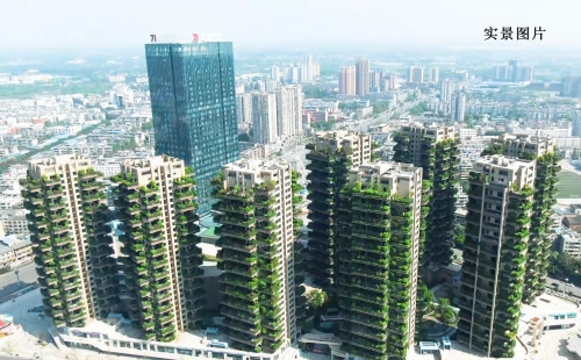 成都首個 垂直森林 住宅 自動灌溉外牆植物網民憂蚊蟲肆虐 香港01 藝文中國 成都首個 垂直森林 住宅 自動灌溉外牆植物網民憂蚊蟲肆虐 香港01 藝文中國