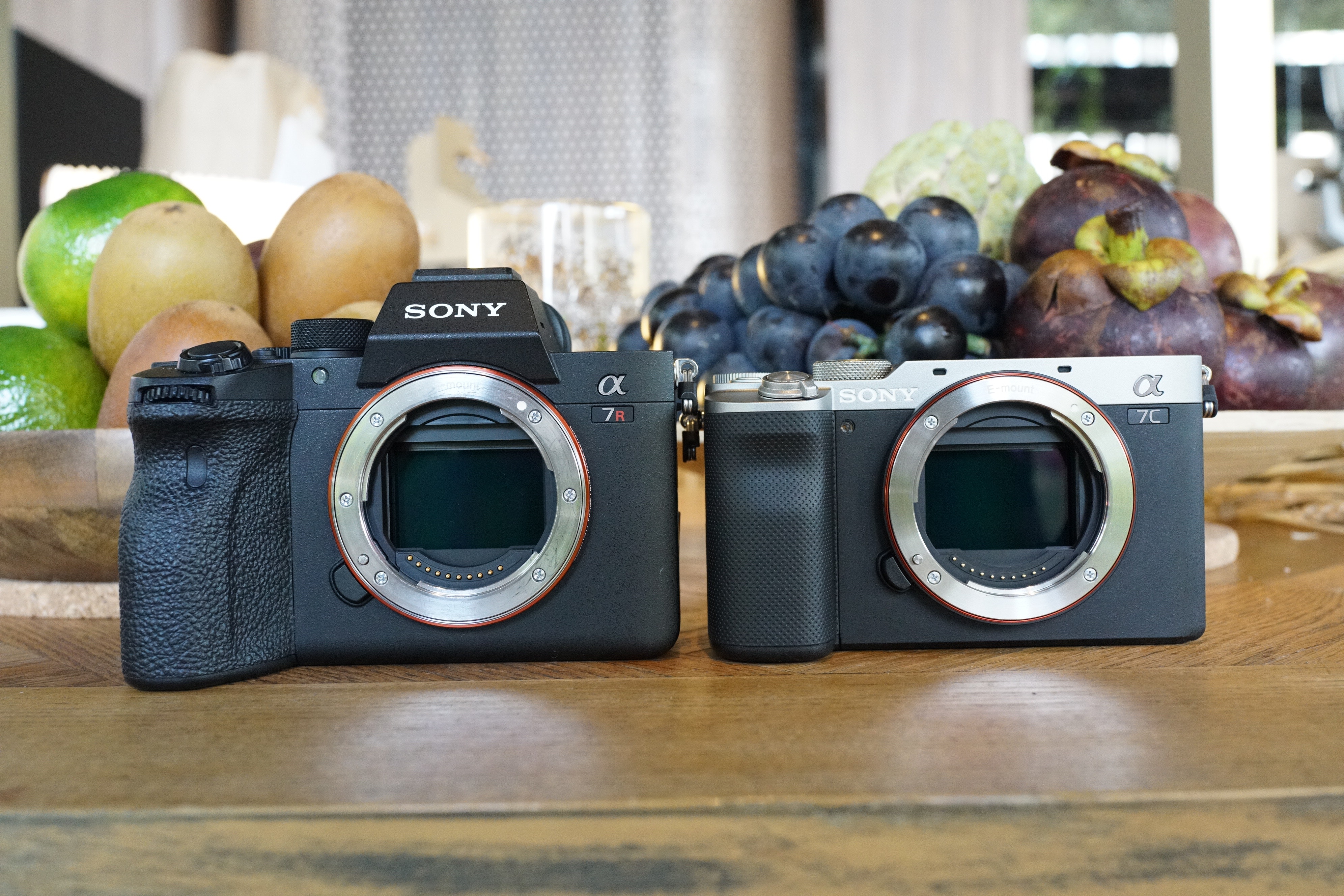 5大相機拍片能力比併canon Sony Nikon Fujifilm哪款總評最高 香港01 數碼生活 5大相機拍片能力比併canon Sony Nikon Fujifilm哪款總評最高 香港01 數碼生活