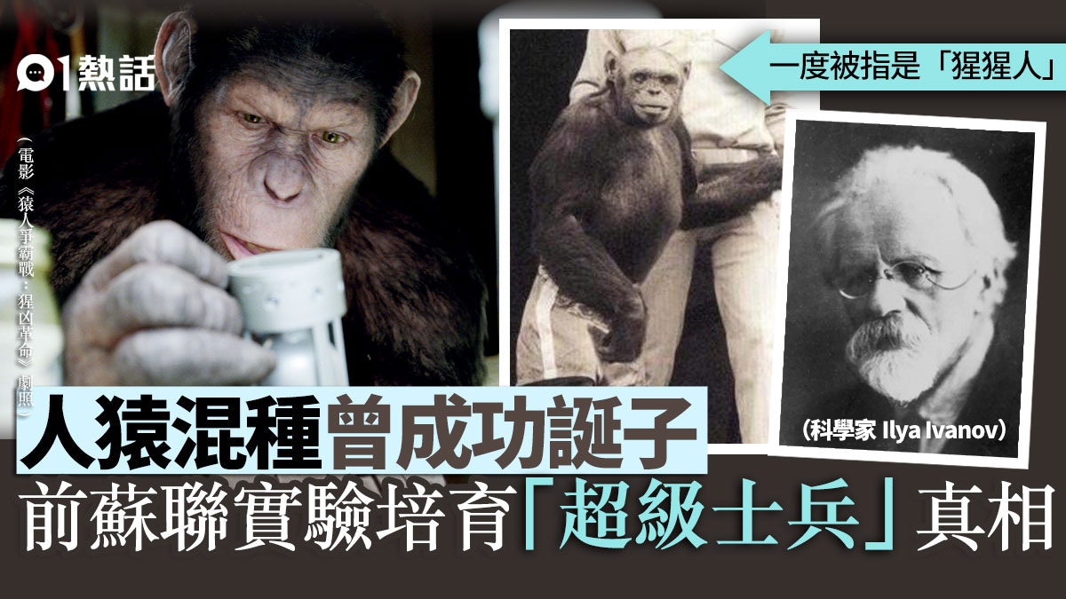猩猩人 真有其事 人猿混種曾成功受孕揭秘前蘇聯可怕實驗 香港01 熱爆話題