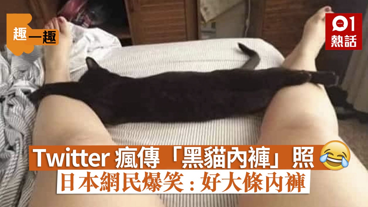 【趣一趣】日本喵星人橫臥奴才白皙雙腿　網民笑爆：好大條內褲
